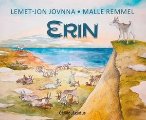 Omslag: "Erin" av John Trygve Solbakk