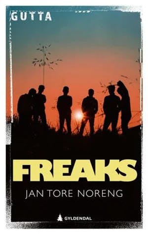 Omslag: "Freaks : : ungdomsroman" av Jan Tore Noreng