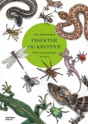 Omslag: "Insekter og krypdyr : fakta og fortellinger for barn" av Line Renslebråten