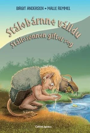 Omslag: "Stálobárnne válldu = : Stállosønnen gifter seg" av Birgit Å. Andersen