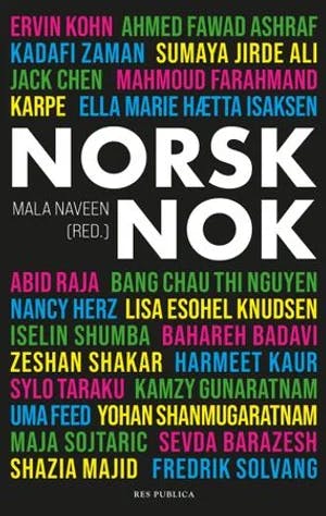 Omslag: "Norsk nok : : tekster om identitet og tilhørighet" av Mala Naveen
