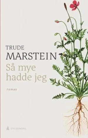 Omslag: "Så mye hadde jeg : roman" av Trude Marstein